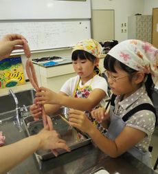 夏休み子ども企画「タケダハム（株）ウインナー作り体験教室」を開催しました