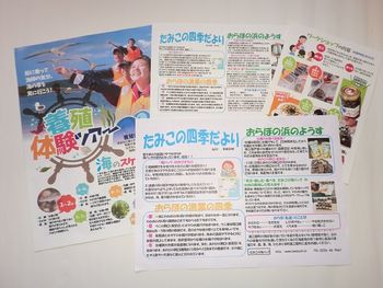 みやぎ生協:「南三陸町の漁業者の思い、町の魅力を伝えたい」たみこの海パック