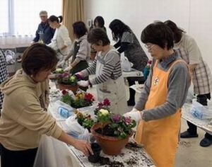 香芝西コープ委員会：毎年大好評の迎春寄せ植え講習会