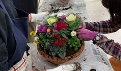 香芝西コープ委員会:毎年大好評の迎春寄せ植え講習会