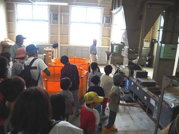 地産地消をすすめる会:お米をそだてよう~種まきから収穫まで~