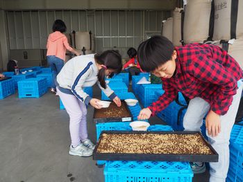 地産地消をすすめる会:お米をそだてよう~種まきから収穫まで~