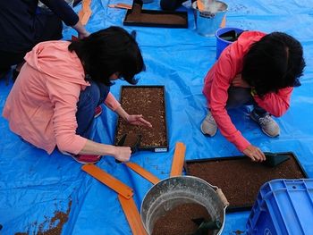 地産地消をすすめる会:お米をそだてよう~種まきから収穫まで~