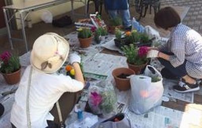 生駒北コープ委員会:十津川農園による初夏の花々を楽しむ寄せ植え講習会