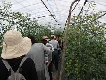 中エリア会:治道トマトの産地見学に行ってきました