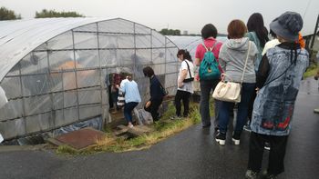 コープネット斑鳩・安堵:バスで行く!治道トマトの産地見学とケチャップ作り