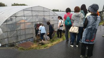 コープネット斑鳩・安堵：バスで行く！治道トマトの産地見学とケチャップ作り