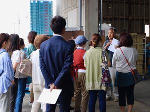 ならやまコープ委員会 ：治(はる)道(みち)トマトの産地見学へ　ケチャップ作りも体験