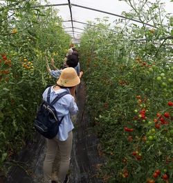 広陵コープ委員会 :治(はる)道(みち)トマトの産地見学に行って来ました