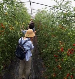 広陵コープ委員会 ：治(はる)道(みち)トマトの産地見学に行って来ました