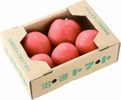 広陵コープ委員会 :治(はる)道(みち)トマトの産地見学に行って来ました