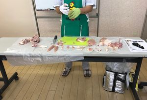 高田東コープ委員会:マルイ食品㈱の学習会