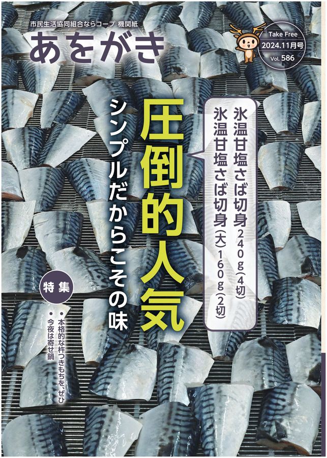 aページ　納期最短（11月中旬以降） x1.jpg?c=20241108163547