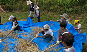 菜の花クラブ刈り取り