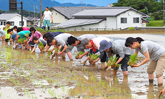 地産地消をすすめる会１　お米を育てよう