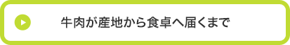 牛肉が産地から食卓へ届くまで