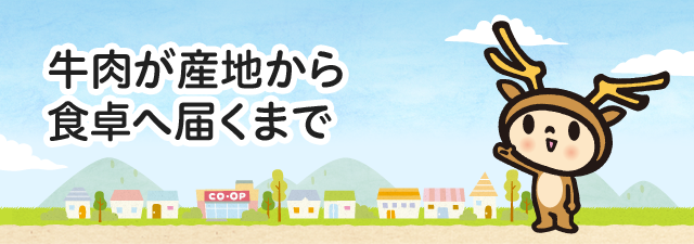 牛肉が産地から食卓へ届くまで