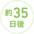 約35 日後