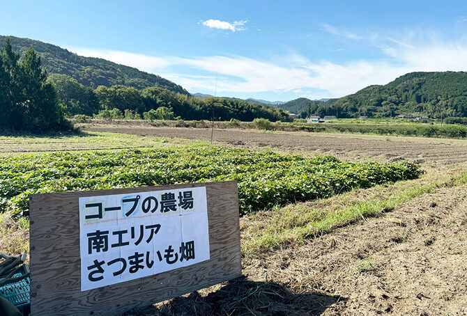 休耕地を活用した、ならコープ直営農場。