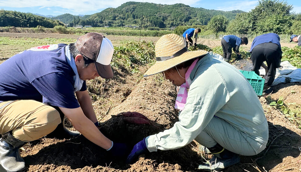休耕地を活用した、ならコープ直営農場。