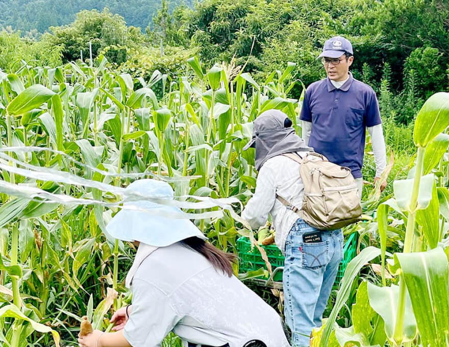 職員・組合員の就農体験