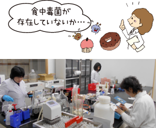 微生物検査