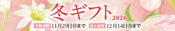 wintergift26_tujou.jpg