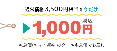 通常価格3,500円相当を今だけ1,000円（税込）宅急便（ヤマト運輸）のクール宅急便でお届け