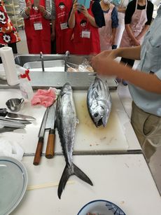 「組合員のつどい」と魚さばき教室を開催しました