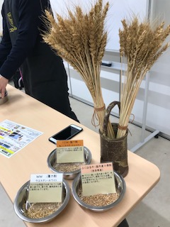 組合員のつどい共催「巽製粉(株)フローベルのパン学習会」を開催しました
