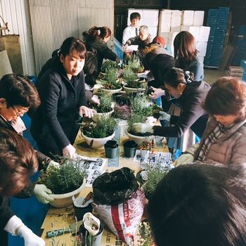 サングリーン企画の学習会「季節の花を寄せ植え」を開催しました