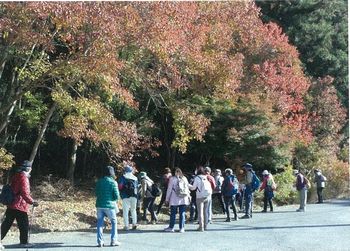 「春日原始林：巨樹巨木めぐりハイキング！」を開催しました