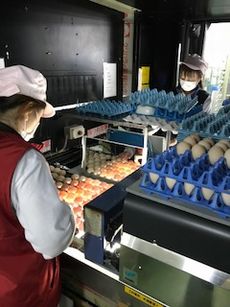 組合員のつどい共催「バスで行く!産直たまごピンクGPセンター見学」を開催しました