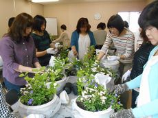 季節の花の寄せ植え講習会をしました