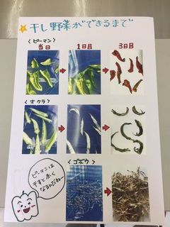 干し野菜の活用術と秋のおすすめ商品の試食学習会を開催しました