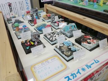 みやぎ生協:地域外の人へ、次の世代へ、伝え続ける難しさ