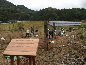 吉野町植樹祭を開催しました