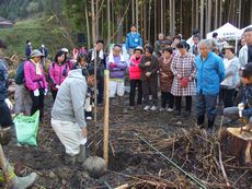 黒滝村植樹祭を開催しました