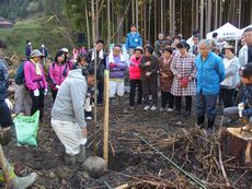 黒滝村植樹祭を開催しました