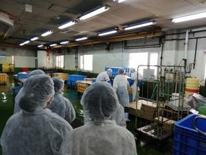 桜井東コープ委員会:組合員のつどい共催㈱ビワコ屋 堺工場