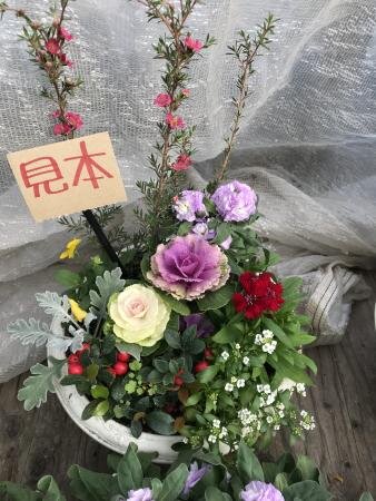 五條コープ委員会:寄せ植え講習会 和風か洋風を選び楽しみました