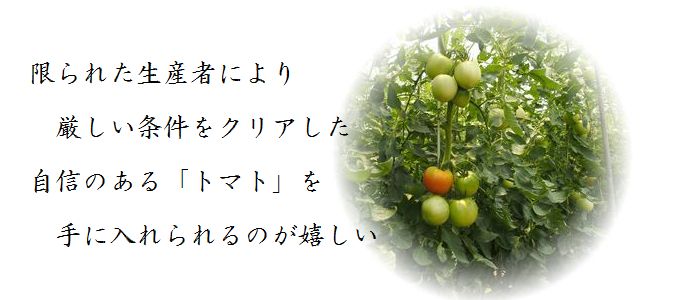 ならモニ便りvol.2:6月15日(木)治道トマト産地見学~トマトハウス~