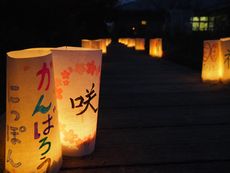 1/12(土)「第14回 桜あかりの集い 2019」が開催されました