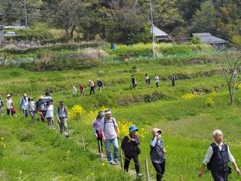 アースデー２０１９ｉｎなら：菜の花まつり＆菜の花ウォーキングを開催しました