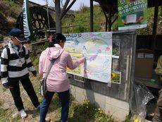 アースデー２０１９ｉｎなら：菜の花まつり＆菜の花ウォーキングを開催しました