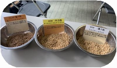 王寺コープ委員会:フローベルのパンの学習会で、小麦粉を挽いてみました