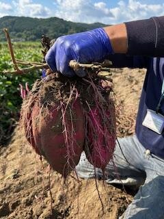 北エリア委員会：2025年度 第２回活動交流会を開催しました 