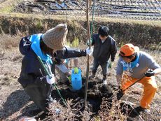 桜ライン311植樹会に参加しました