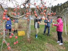 桜ライン311植樹会に参加しました