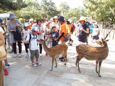 「福島の子ども保養プロジェクト in なら」を実施しました